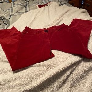 L.A. Blues Maroon Corduroy Jeans